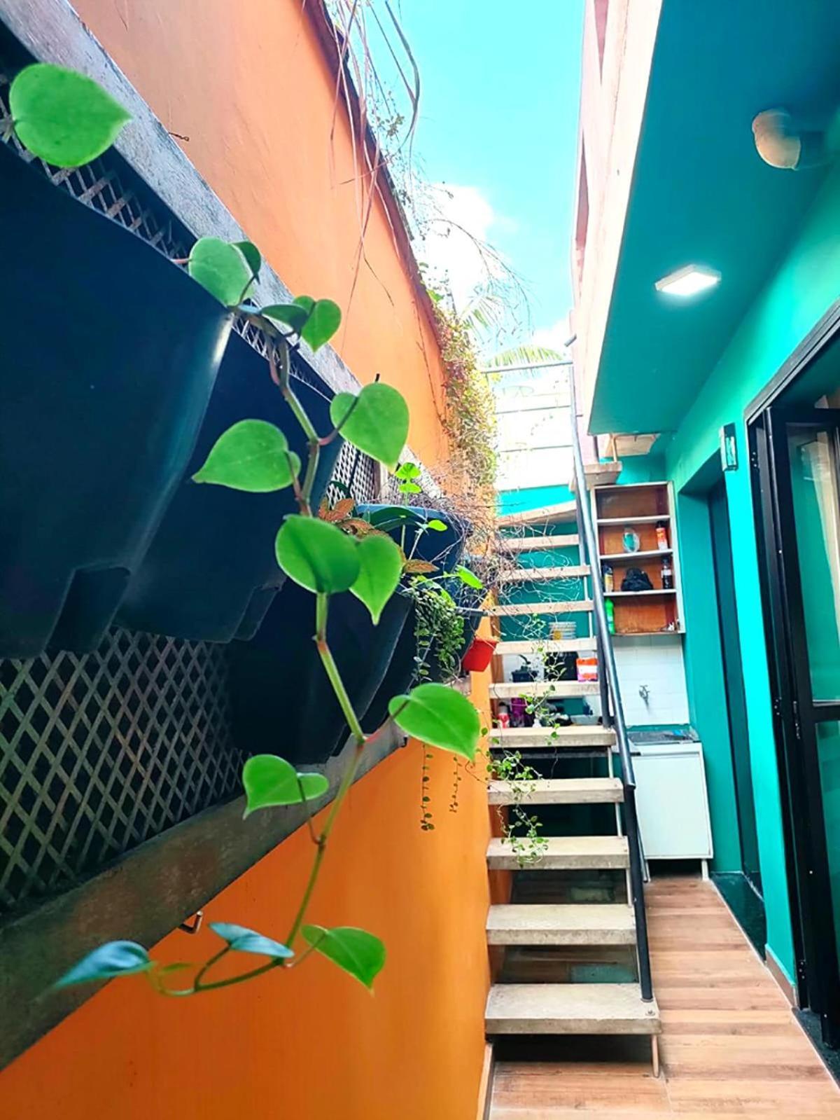 Casa 373 - Hospedaria Vila Mariana - Valores Acessiveis São Paulo Exterior foto